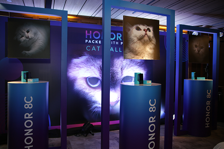 Honor 8C review, Honor 8C price, Honor 8C specs