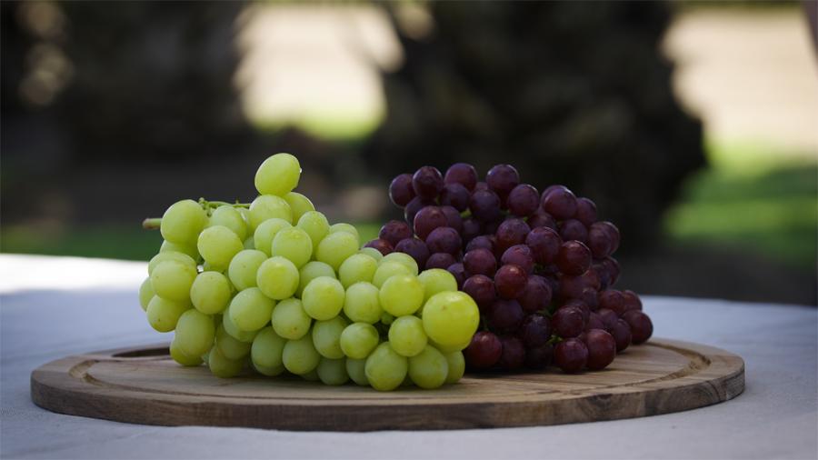 From Farm to Table: Australian Table Grapes Are Back in the Philippines With Unique Varieties on Offer This Season
