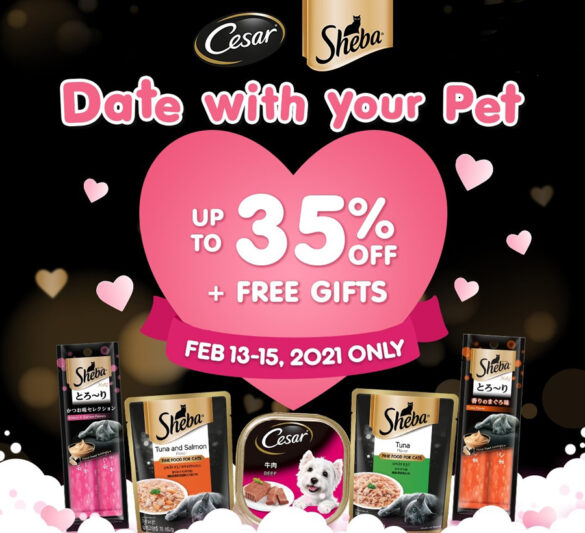 Open your hearts and homes to shelter pets this Valentine’s Day with MARS Petcare