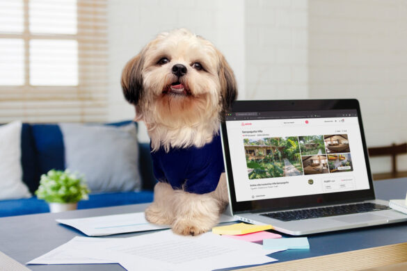 The Philippines’ most famous Smiling Dog Luffy B unveils his wishlist of pet-friendly Airbnb Stays