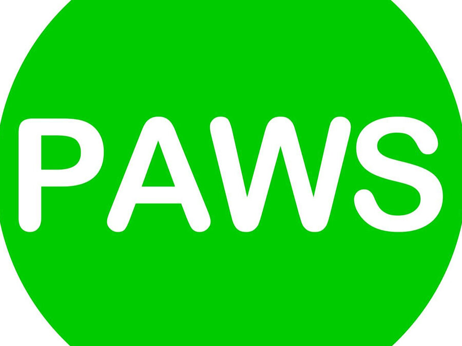 PAWS Launches “Kapon for All Pets” to Solve Stray Problem