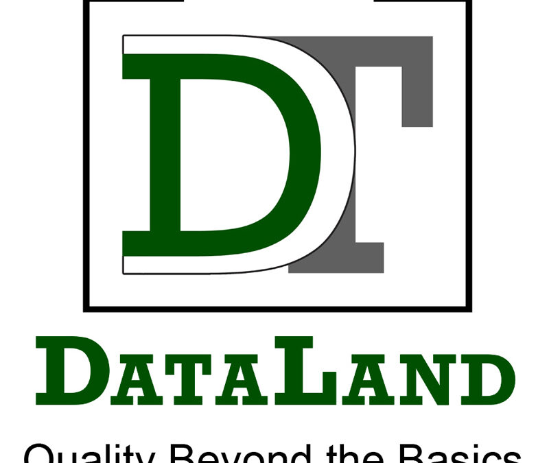 DataLand to launch more projects in strategic locations