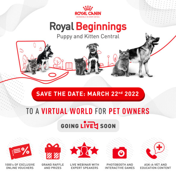 Paw-some days await! Royal Canin delights fur parents and babies alike with five-day virtual world for new pet parents