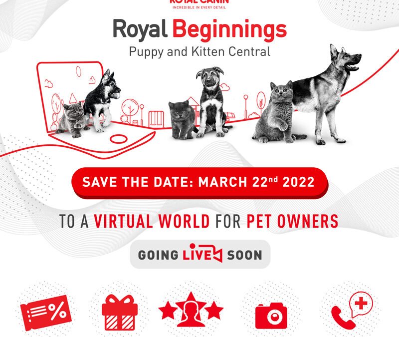 Paw-some days await! Royal Canin delights fur parents and babies alike with five-day virtual world for new pet parents