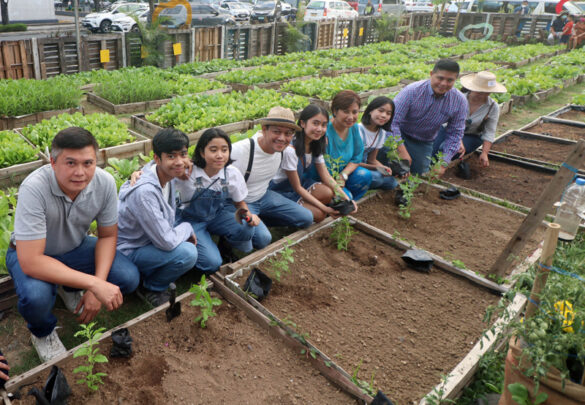 Experience farming in the city at BGC’s newly-launched Urban Farm