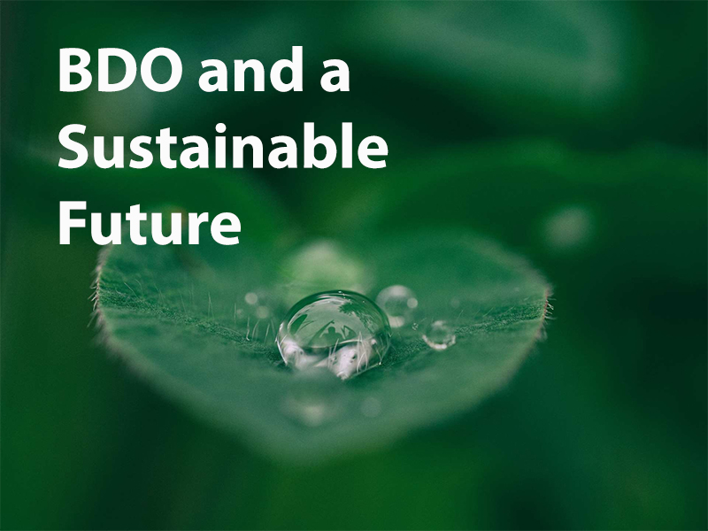 BDO offers financial help to green companies and renewable energy projects