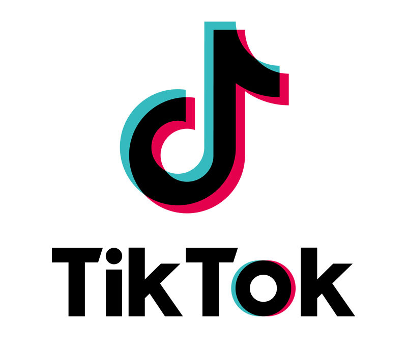 An interest in different languages led to this TikTok singer’s popularity
