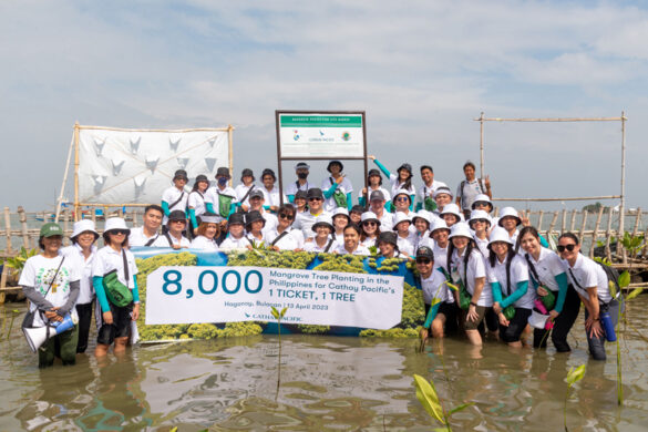 Cathay Pacific to Plant 20,000 Mangrove Tress Across SEA