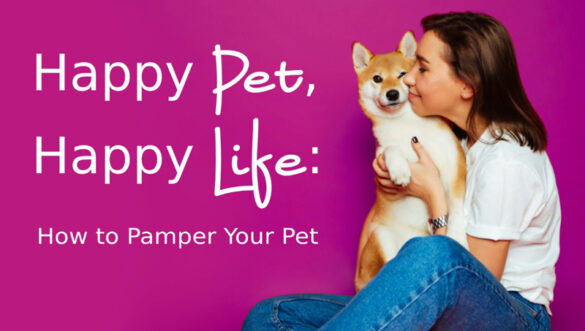 Happy Pet, Happy Life How to Pamper Your Pet