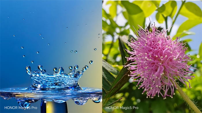Believe it or Not, These Shots are Taken by the HONOR Magic5 Pro!
