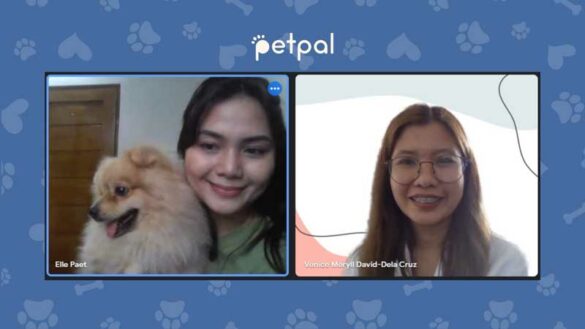 917Ventures' PetPal Targets US$1.6 Billion Pet Care Market in SEA - Expands Access to Essential Pet Care for Filipinos