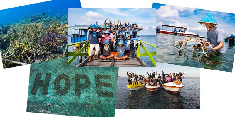 SHEBA® Hope Advocate Program The Next Phase in the World’s Largest Global Reef Restoration Initiative