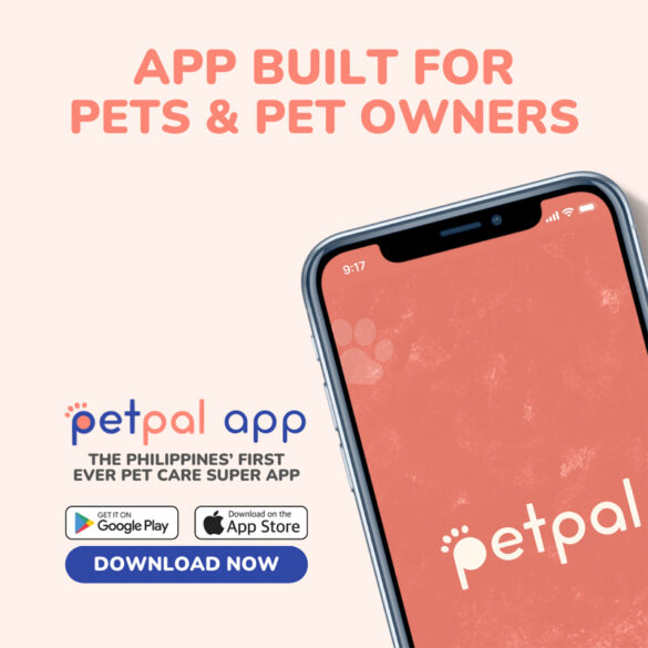 PetPal launches PH’s first all-in-one pet care super app